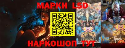 шишки Ставрополь