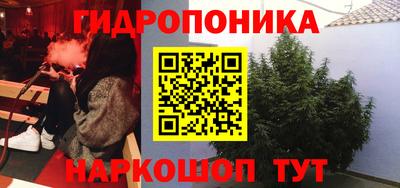 шишки Ставрополь